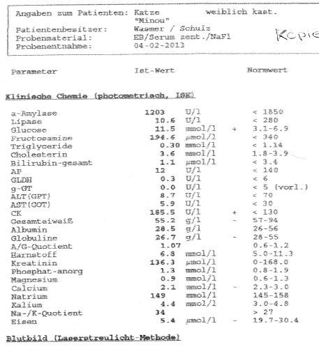 Blutbild Minou
04.02.2013
Seite 1