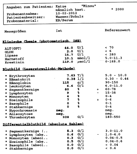 Blutbild Minou
10.02.2012