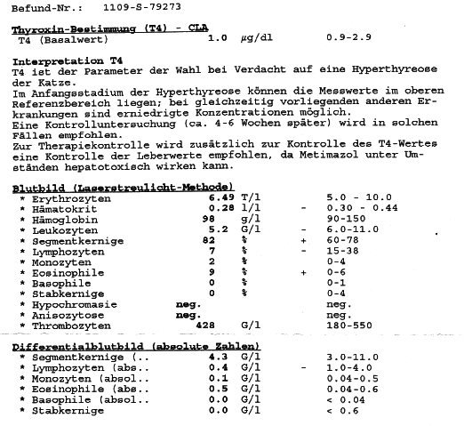 Blutbild Minou
13.09.2011
Seite 2