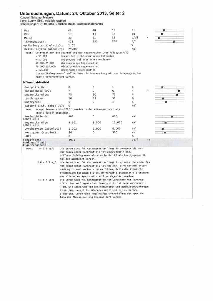 Blutwerte 23.10.2013 Seite 2