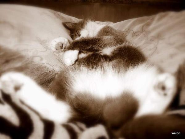 *boaa* bin ich alle!