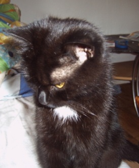 Boah ich will nicht, das du Fotos von mir machst!!