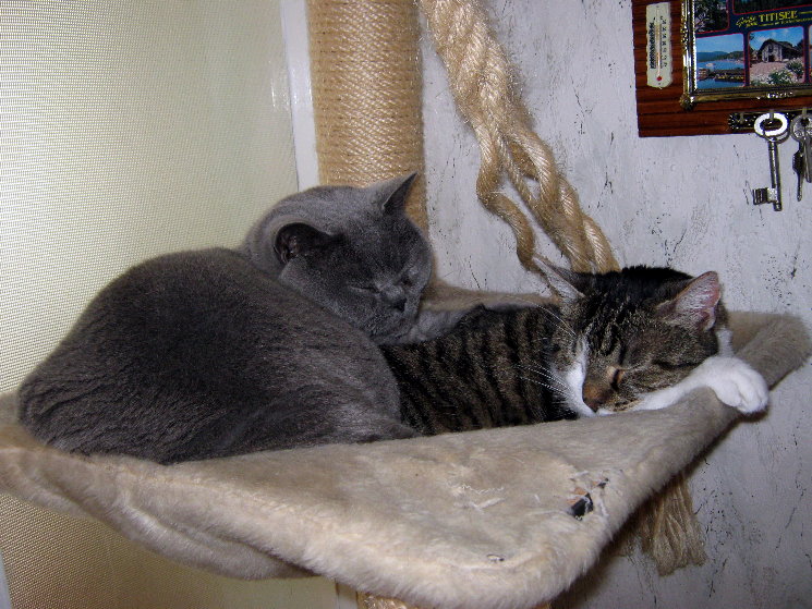 Bosso und Tobi als Dreamteam