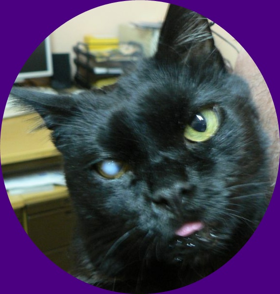 Bruno
Mit seiner Behinderung die ihm aber überhaupt nichts ausmacht.
frech iss er trotzdem.