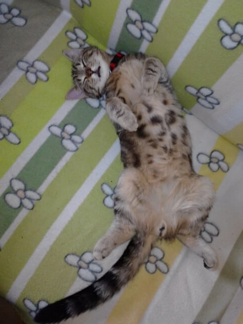 ... chillen angesagt