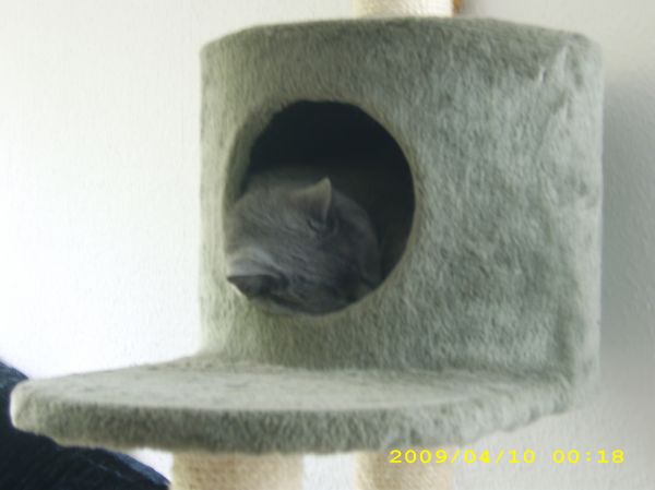 Clarky in seiner Höhle