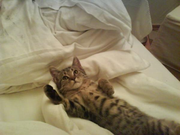 Da bin ich auch noch sooooo lieb