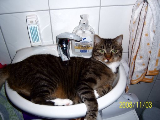 Da bin ich wohl schon etwas raus gewachsen. Ein neues Waschbecken währe super.