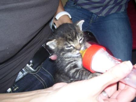 Da krieg ich grad mein leckeres Flaschi *schmatz*