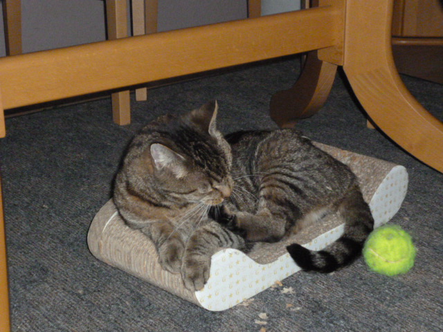 Da liegt ein Ball - na und