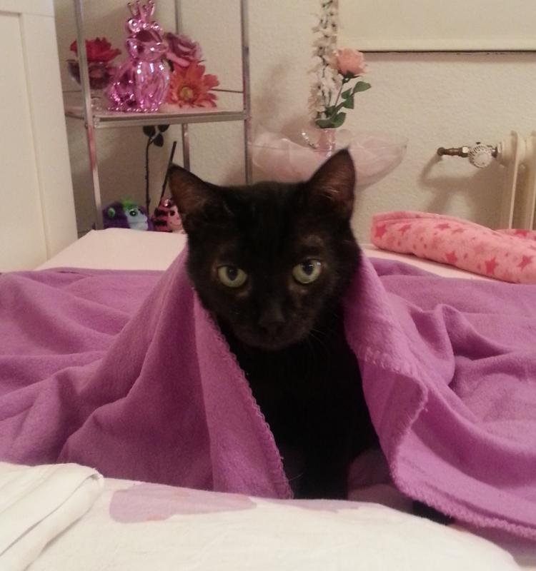 Da liegt neben mir im Bett und gleich wird er wieder zum Kuschelprinz :-)