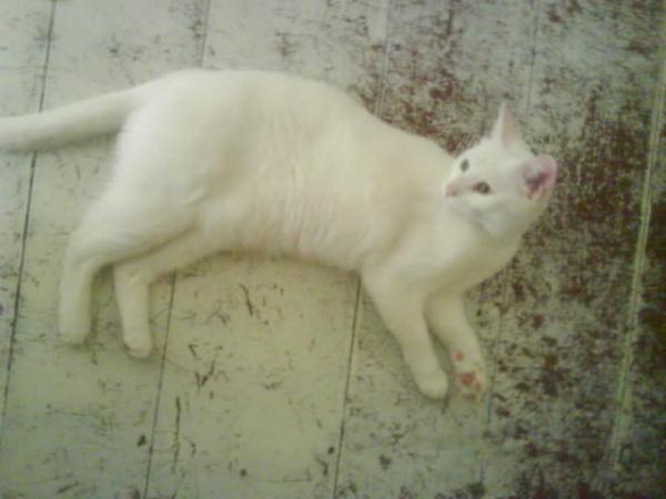 Da sah Alles noch entspannt aus.