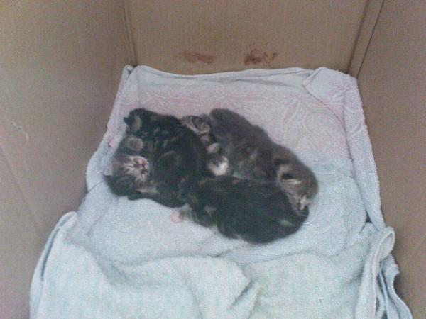 da sieht man mal alle auf einen Haufen in der Wurfkiste