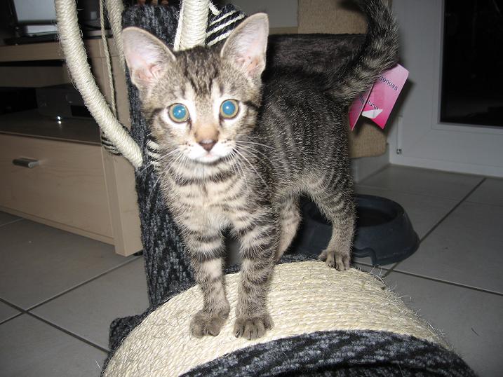 Da war Anton noch in der PS - kurz drauf haben wir ihn zu uns geholt!