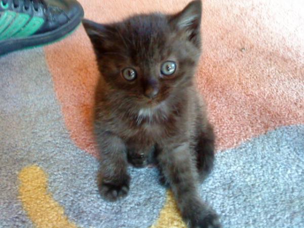 Da war die Bugsy noch ein Baby *g*