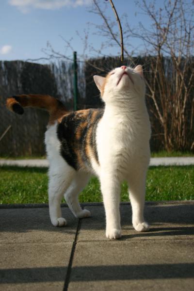 Da war ich noch klein - aber fein ;-)