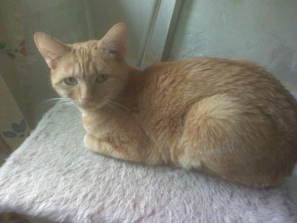 Da war Lilly noch nicht kastriert