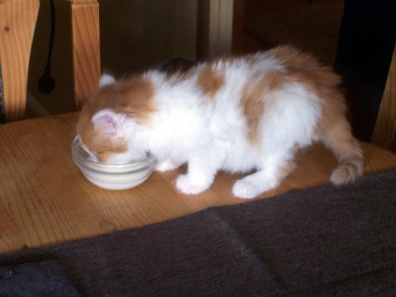 Da war sie noch Klein!