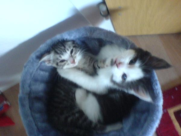 da waren sie noch klein.... :)