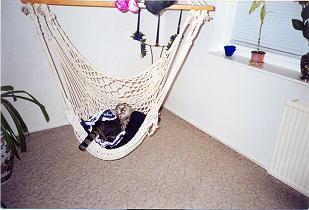 Da waren wie Beide noch alleine...