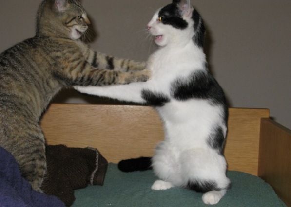 dancing the night away