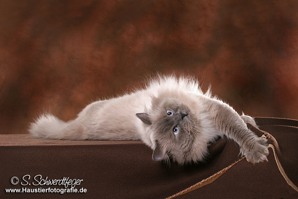 Danny von einer Tierfotografin footgrafiert,ist etwa 4 oder 5 Jahre her