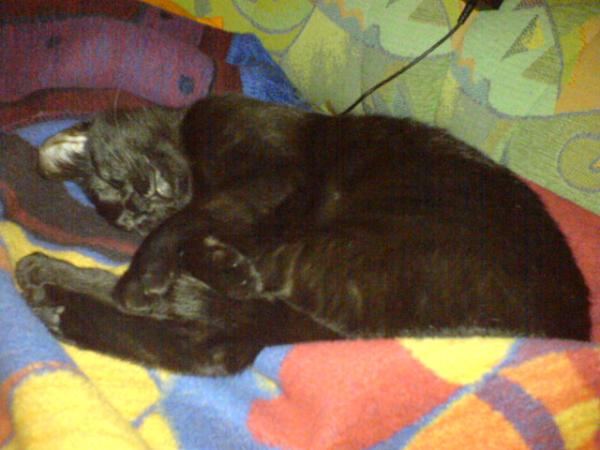 Darf ich mich vorstellen, Paula mein Name