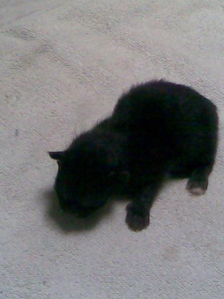 Das Baby 1 unser ehemaliges Sorgenkind,nurn wird es ein Sonnenschein