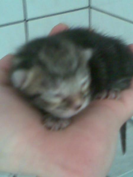 Das baby Nummer 4