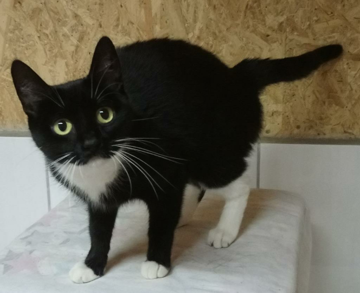 Das Bild stammt noch aus der Tierpension.