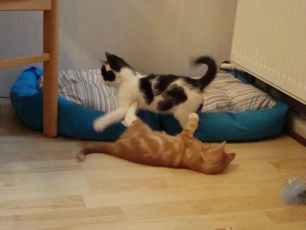 das erste mal ohne den rest