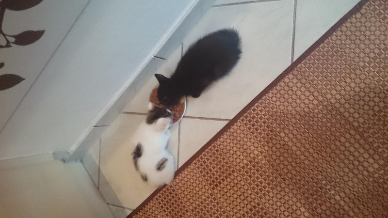 Das erste Treffen der kleinen