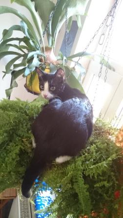 Das gibt's doch nicht!!!