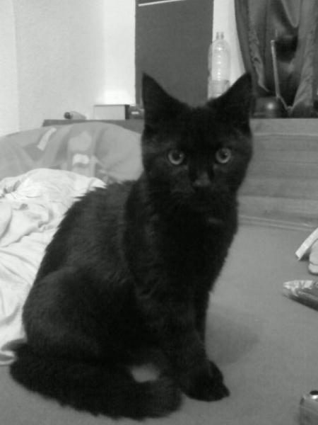 das ist auch schon wieder einige Monate her