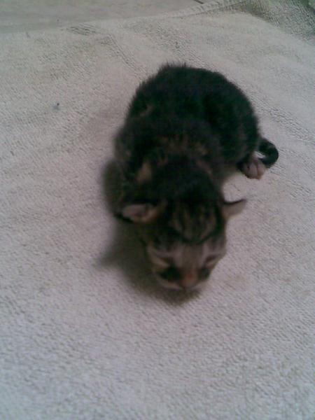 Das ist Baby Nummer 2