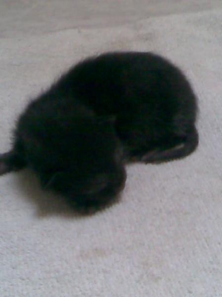 Das ist Baby Nummer 3