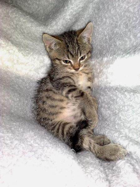 Das ist das erste Bild von dem Wurm.......einfach Süß :-))