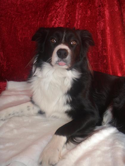 Das ist der große Bruder :-)