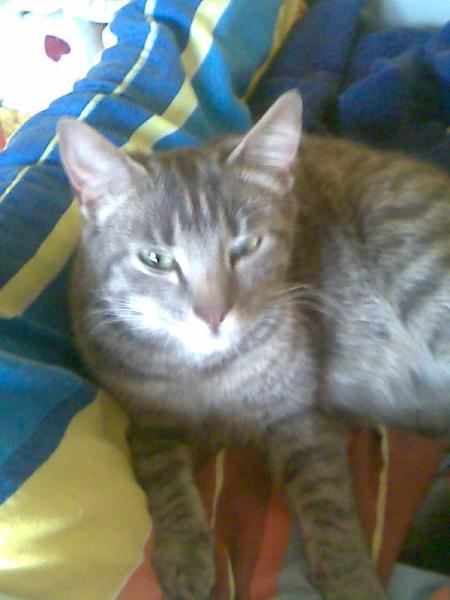 Das ist die Mama Freya,kurz vor der geburt