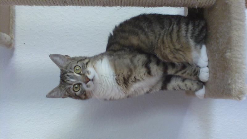 Das ist Maja mit einem Jahr!