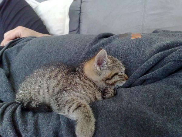 Das ist Sparky bei seiner lieblings Beschäftigung *g