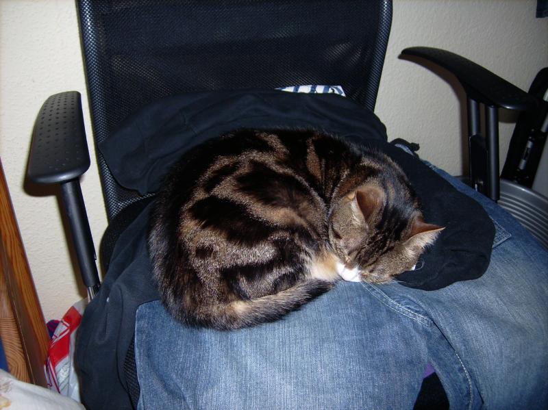 das ist unsere Ginger