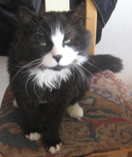 Das stehen wir mal zum fressen auf....