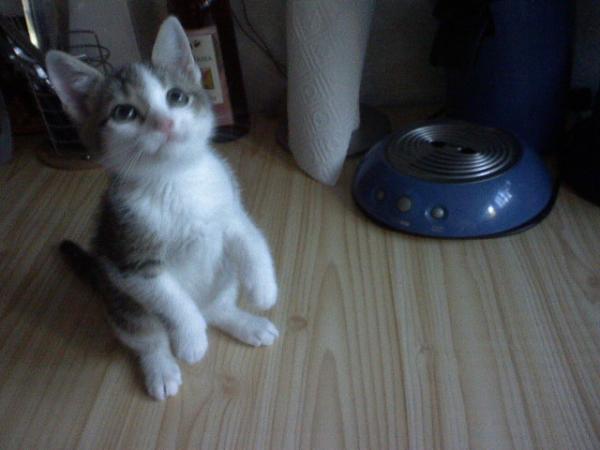 Das waren Casimir`s erste Tage bei uns!