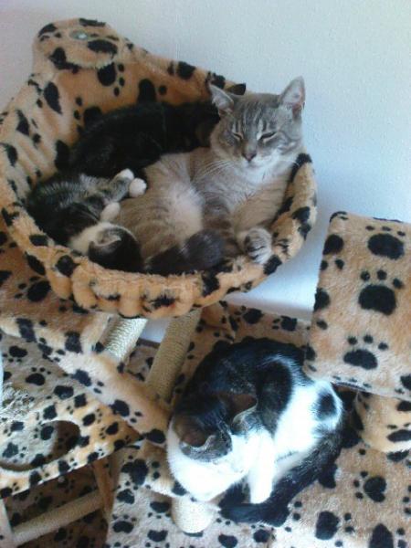 das waren schöne ruhige zeiten. so lieb können die auch zusammen schmusen