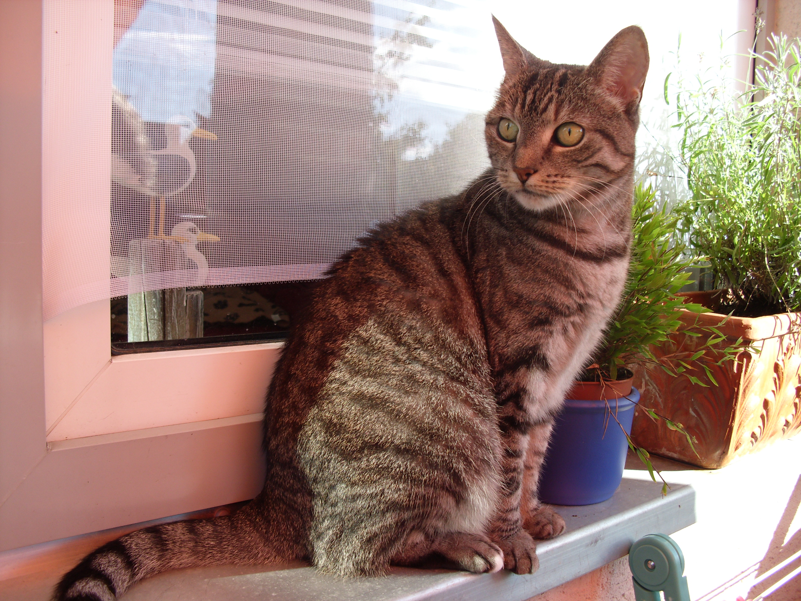 Datensicherung 5.9.2010 505