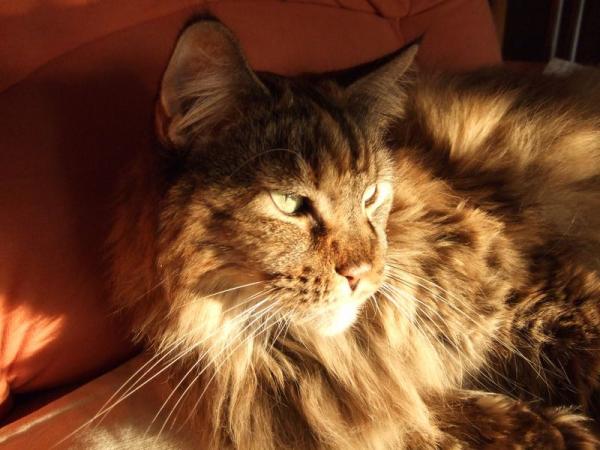 Dayna in der Abendsonne