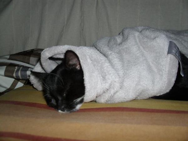 Decken haben eine magische Anziehungskraft... ;)