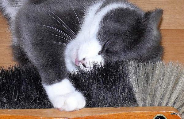 Der Besen hat mich alle gemacht :o)