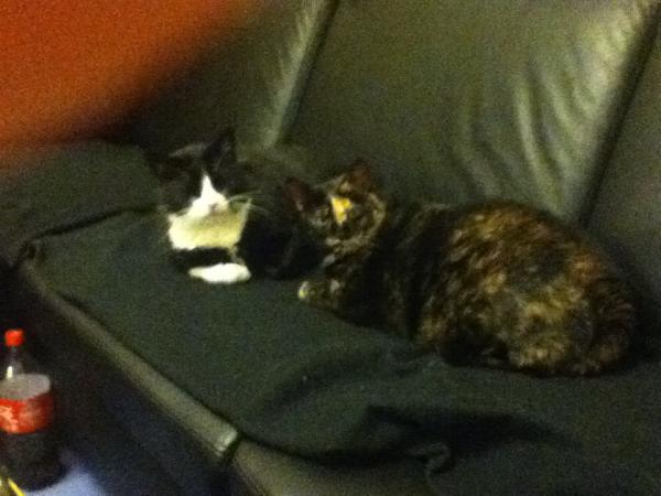 Der Blick sagt alles ,-))